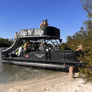 Pontoon boat with slide docked on shore, people on top and inside, trees in background.